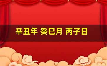 辛丑年 癸巳月 丙子日